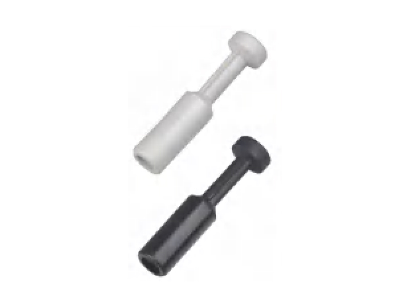 IPP Plug