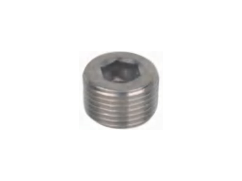 IBP-(G) Plug