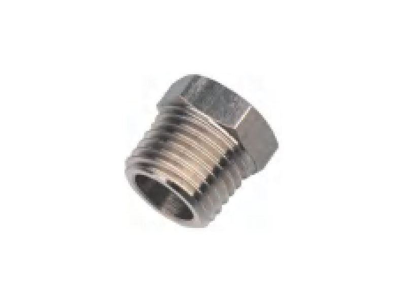 IBZ Plug